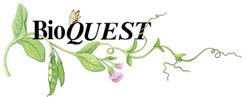 BioQUEST logo.
