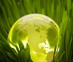 Sustainability image.