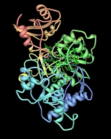 Protein photo.
