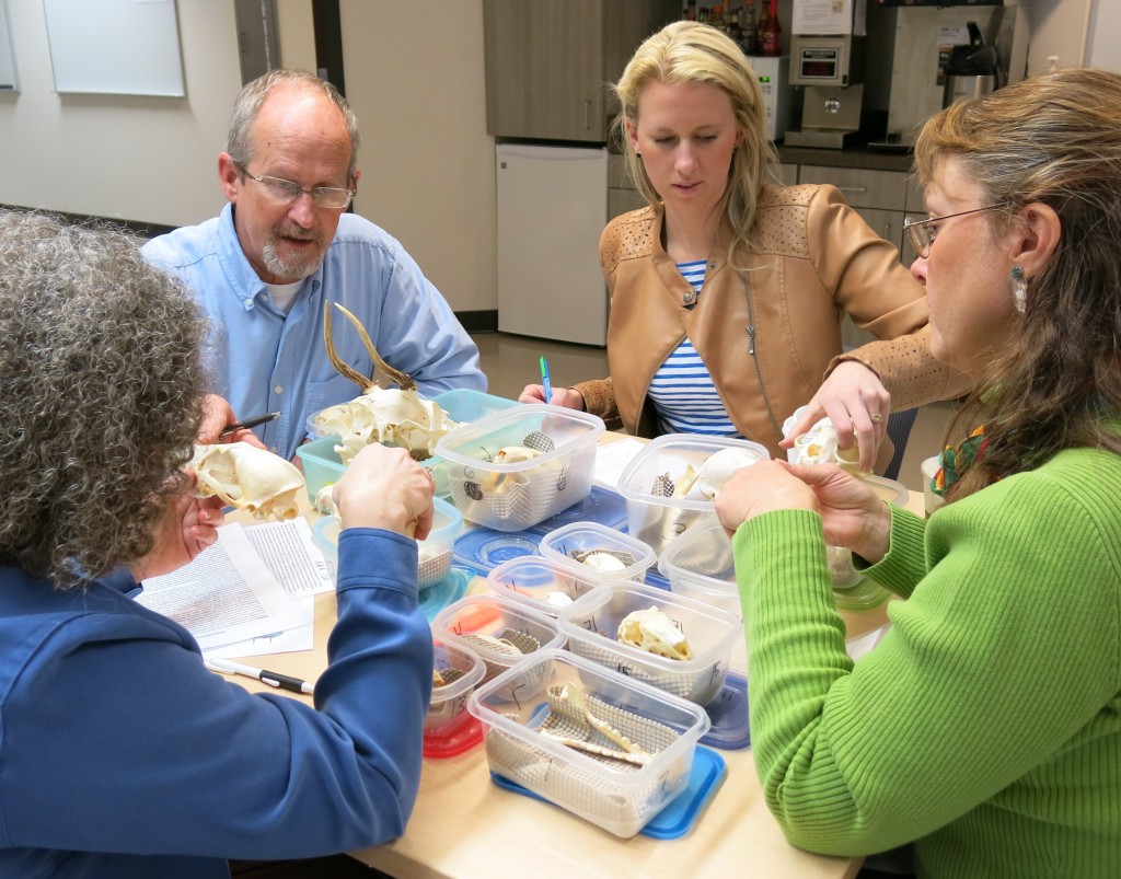 Teachers learn evolution lessons from Biology in a Box at the Darwin Day Teacher Workshop.