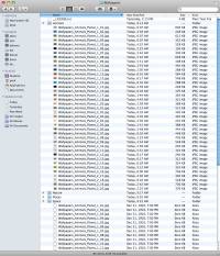 An example of the Finder NFS bug.  This example shows the files from the "Animals" subdirectory appearing under the "Spaces" subdirectory, even though the "Spaces" subdirectory is actually empty. 